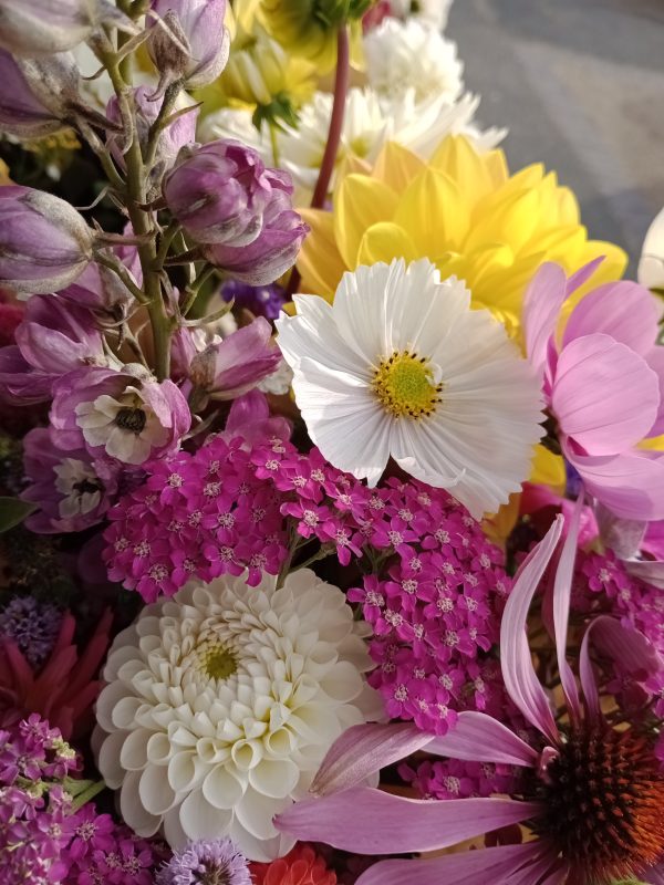 Medium Seasonal Handtied Bouquet