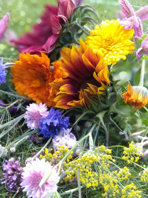 Medium Seasonal Handtied Bouquet - Image 5