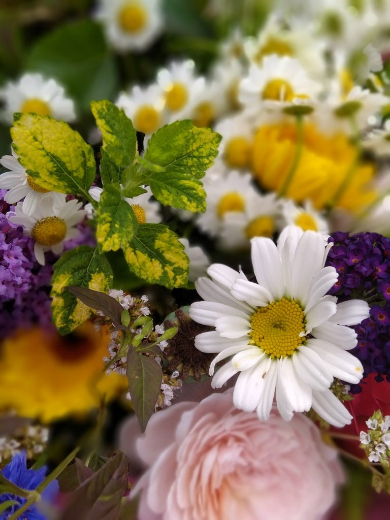 Early Summer bouquet of fresh seasonal flowers from Ellesmere Eco Flowers, Shropshire.